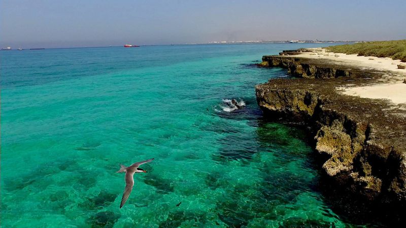 Shidor's unique ecosystem: Wildlife Refuge