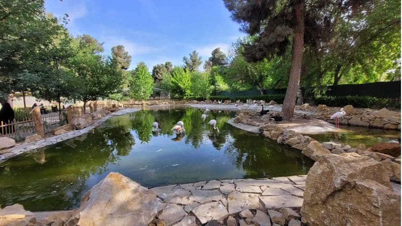 Unique features of the garden