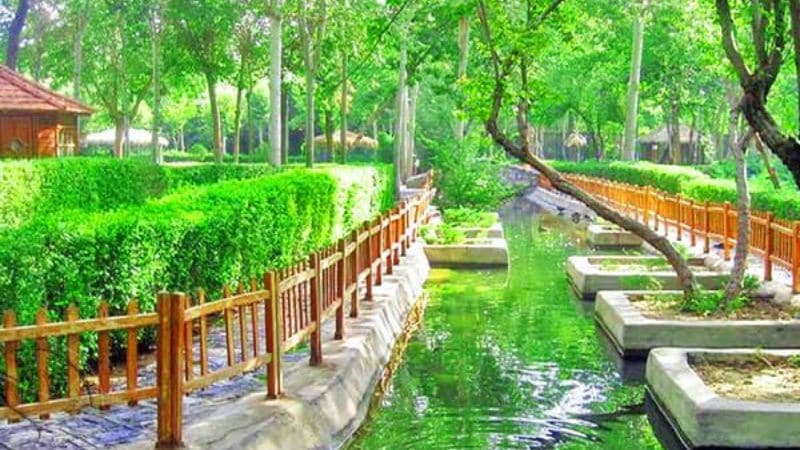 Applications Tips for Visitors