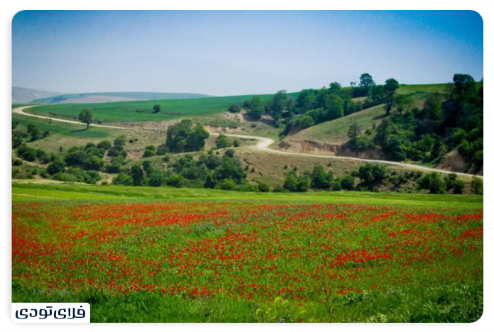 Access to Shaghayegh Calpus Plain