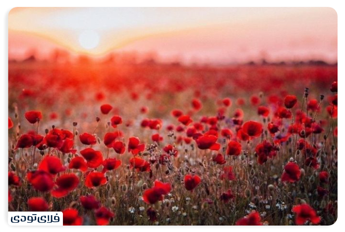 Natural Attractions and Tourism