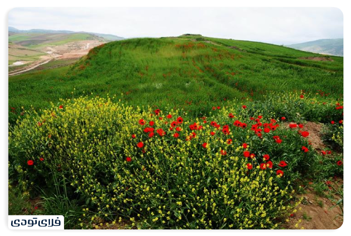 The best season to visit the Plain of Calppus