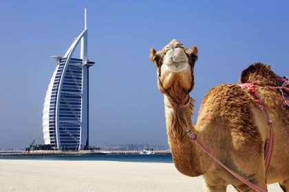 Travel Guide to Dubai - 7 Tips to Know Before traveling to Dubai | DigiKala Meg