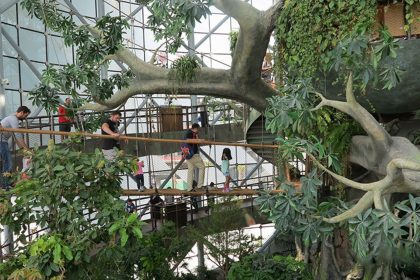 The nature of the Dubai Green Planet