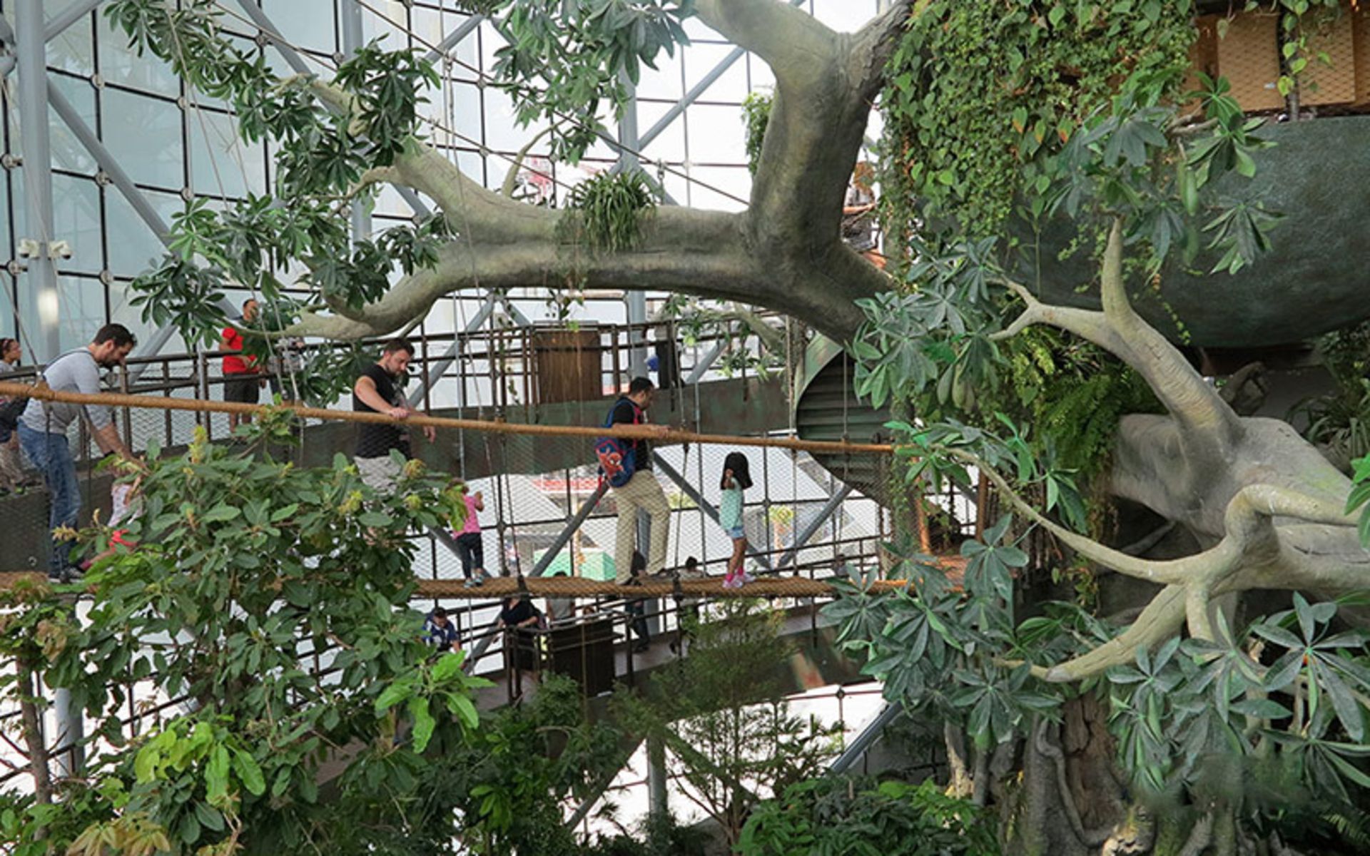 The nature of the Dubai Green Planet