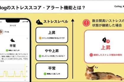 Artificial Intelligence app for cats