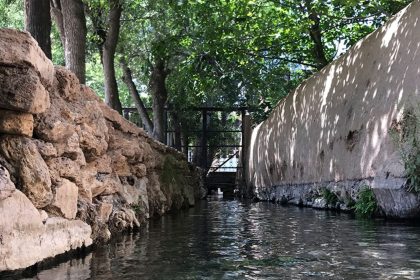 River and lush trees in Niasser
