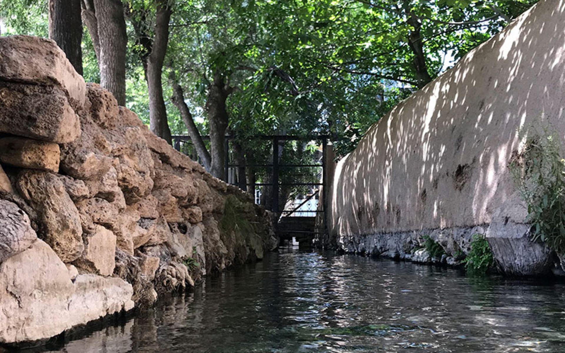 River and lush trees in Niasser