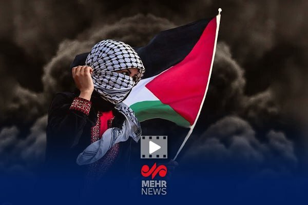 Investigating the Palestinian issue at the meeting of the Iranian and Egyptian foreign ministers