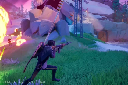 Introducing Last Flag Game