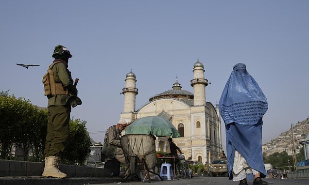 Taliban leader condemned the ban on Afghan nationals' travels by Trump