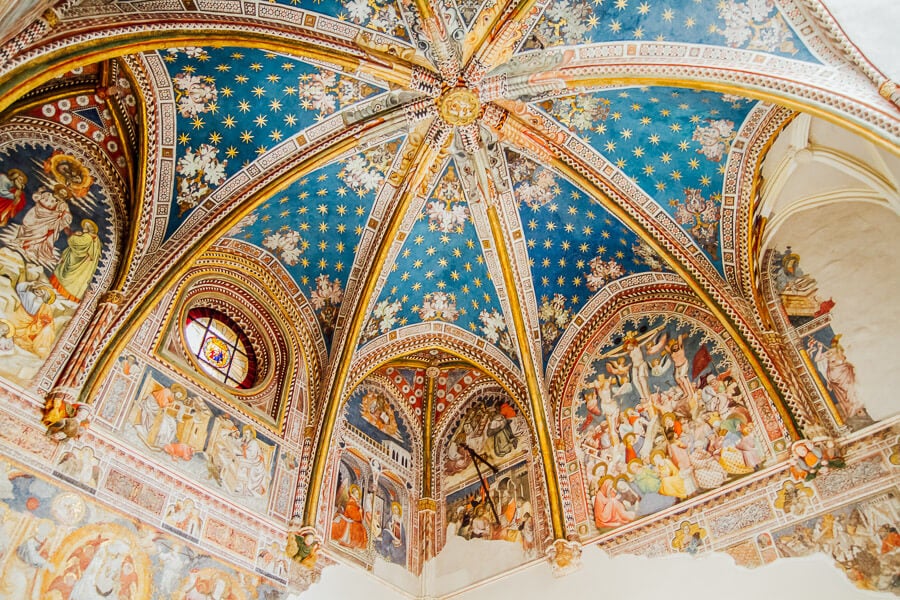 4. Primada Cathedral of the City of Burnso