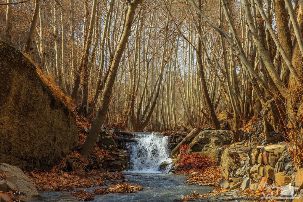 Shandiz Mashhad Village