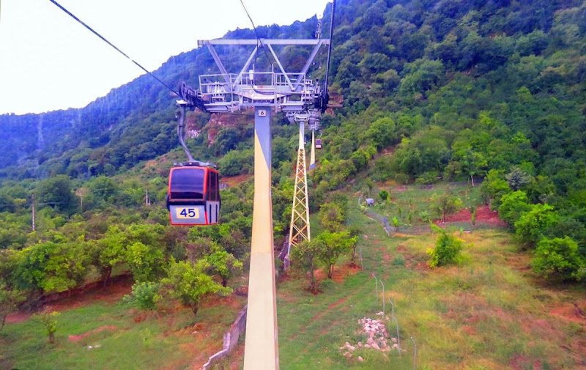 Ramsar Cab's Route in the Forest Mountain