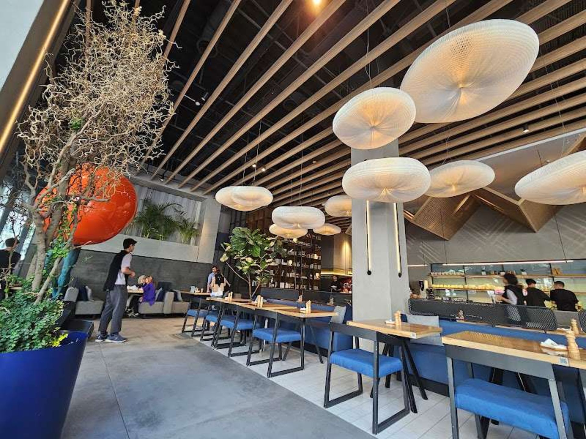 Table and chair and chandelier