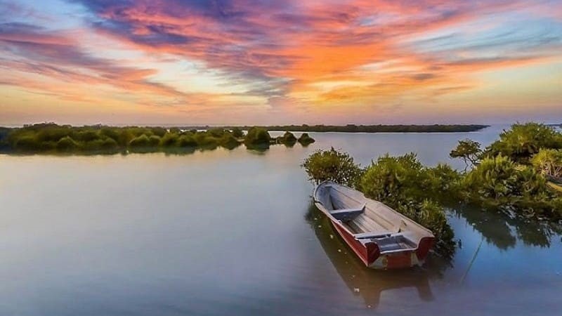 How to go to the mangrove forest? Paths and access