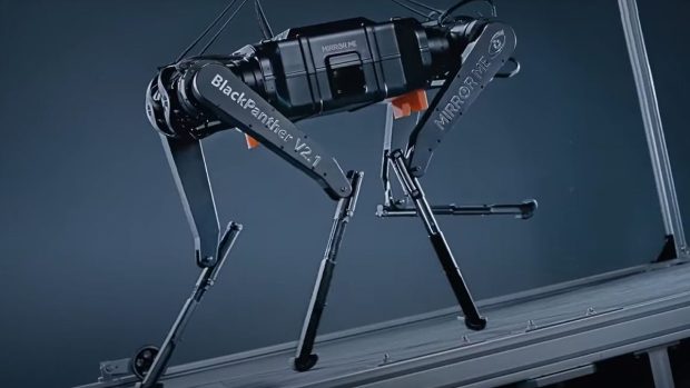 Black Panther Robotics Dog