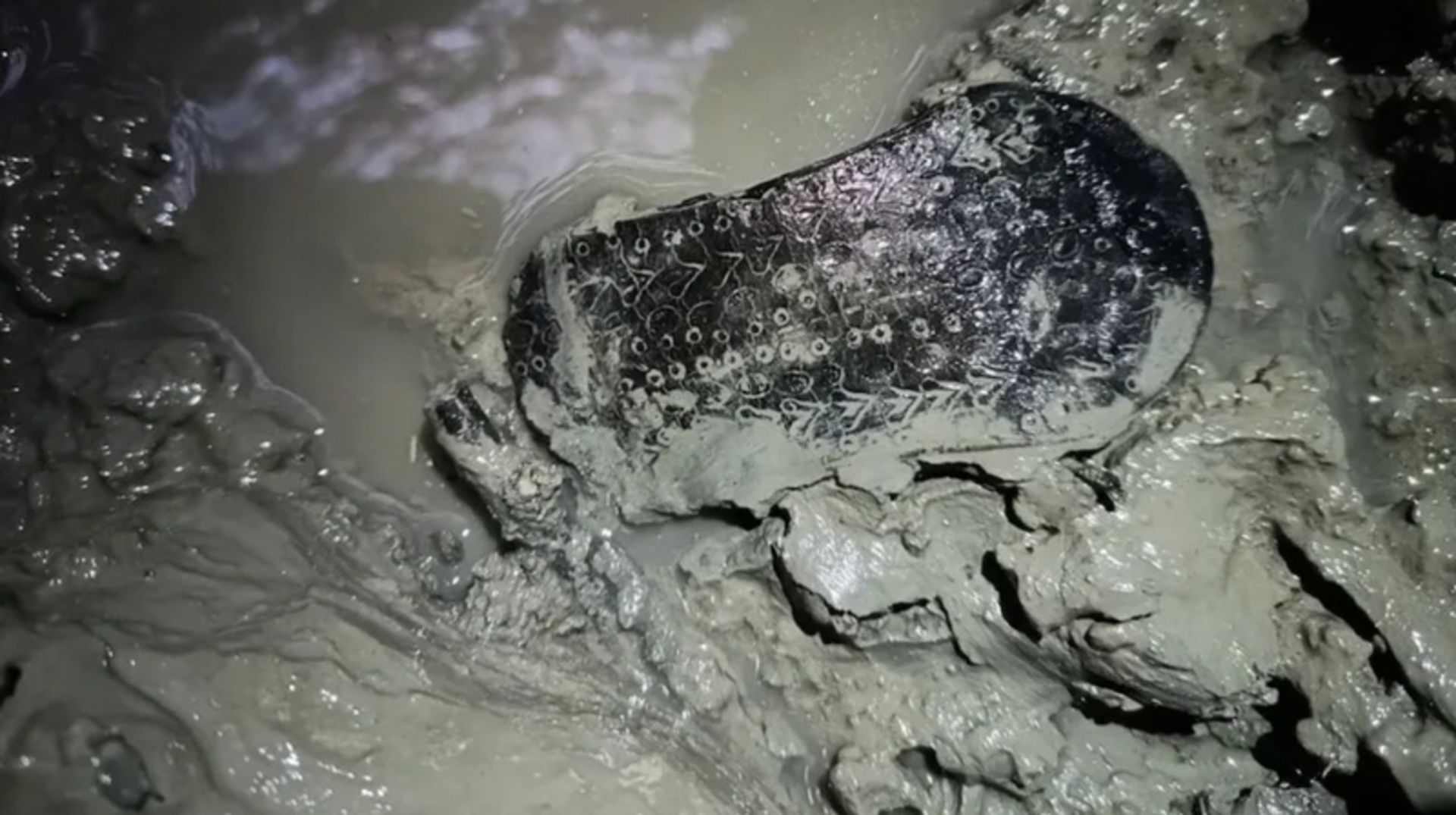 Ancient Roman Sandle in the Flower of the Well