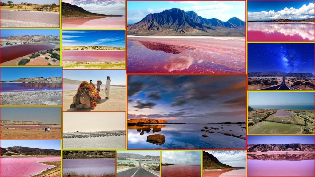 Chabahar Pink Wetland Photo