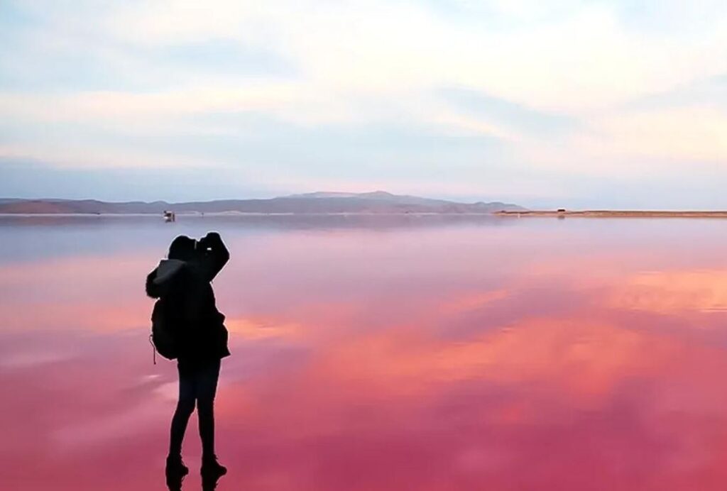 Leader Lipar Chabahar Pink Wetlands