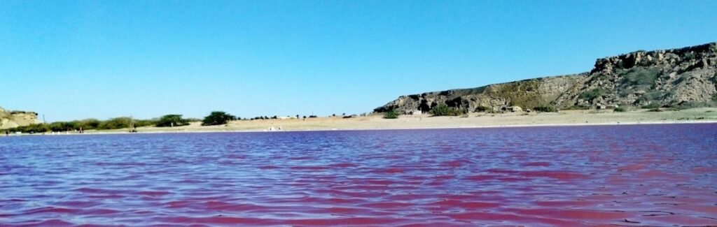 Why visit the Chabahar Pink Wetland?