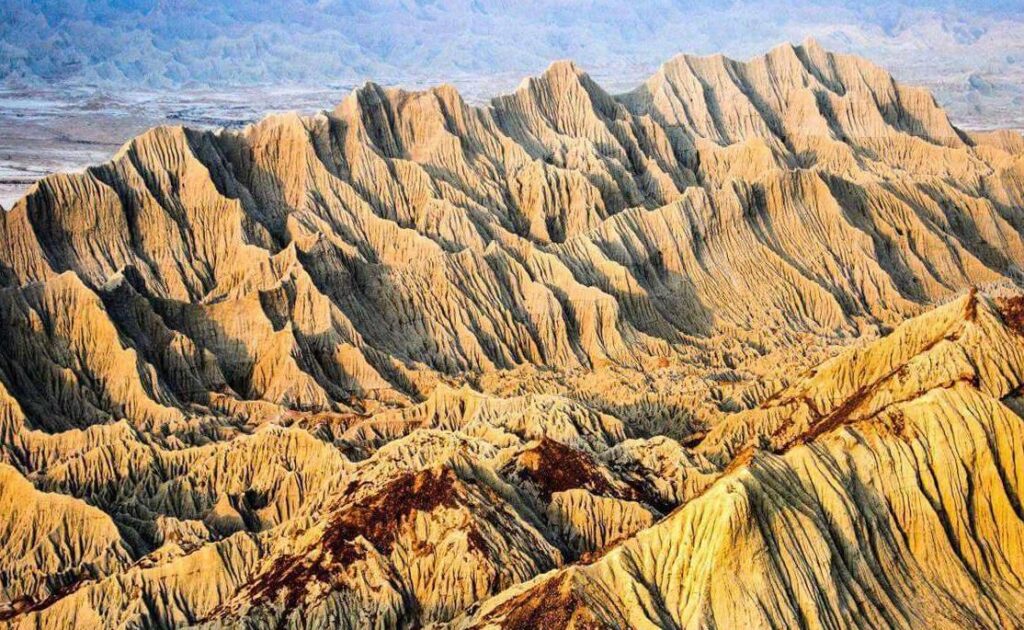 Sightseeing around the Chabahar pink wetland