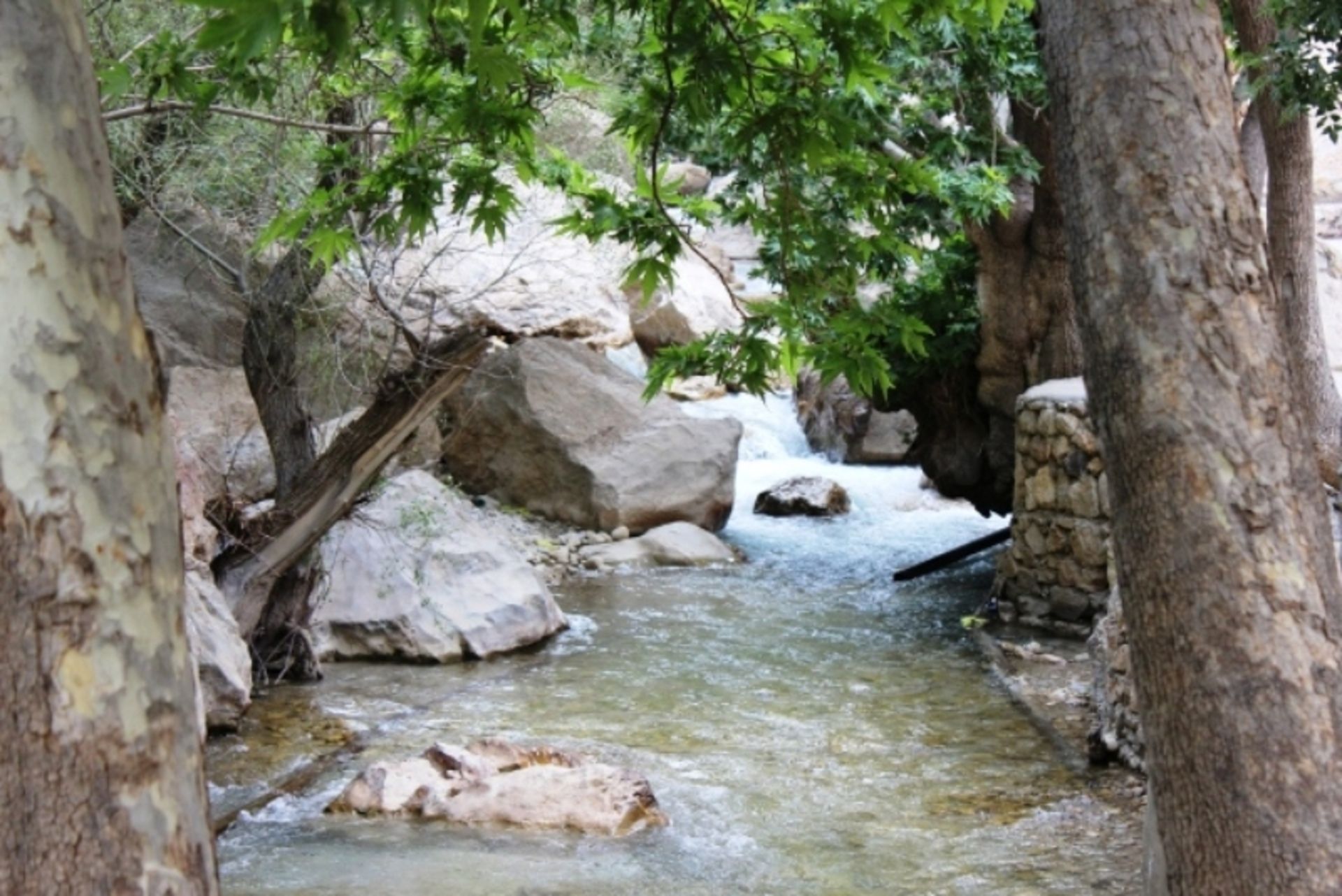 Roaring river in Tang Mehrian
