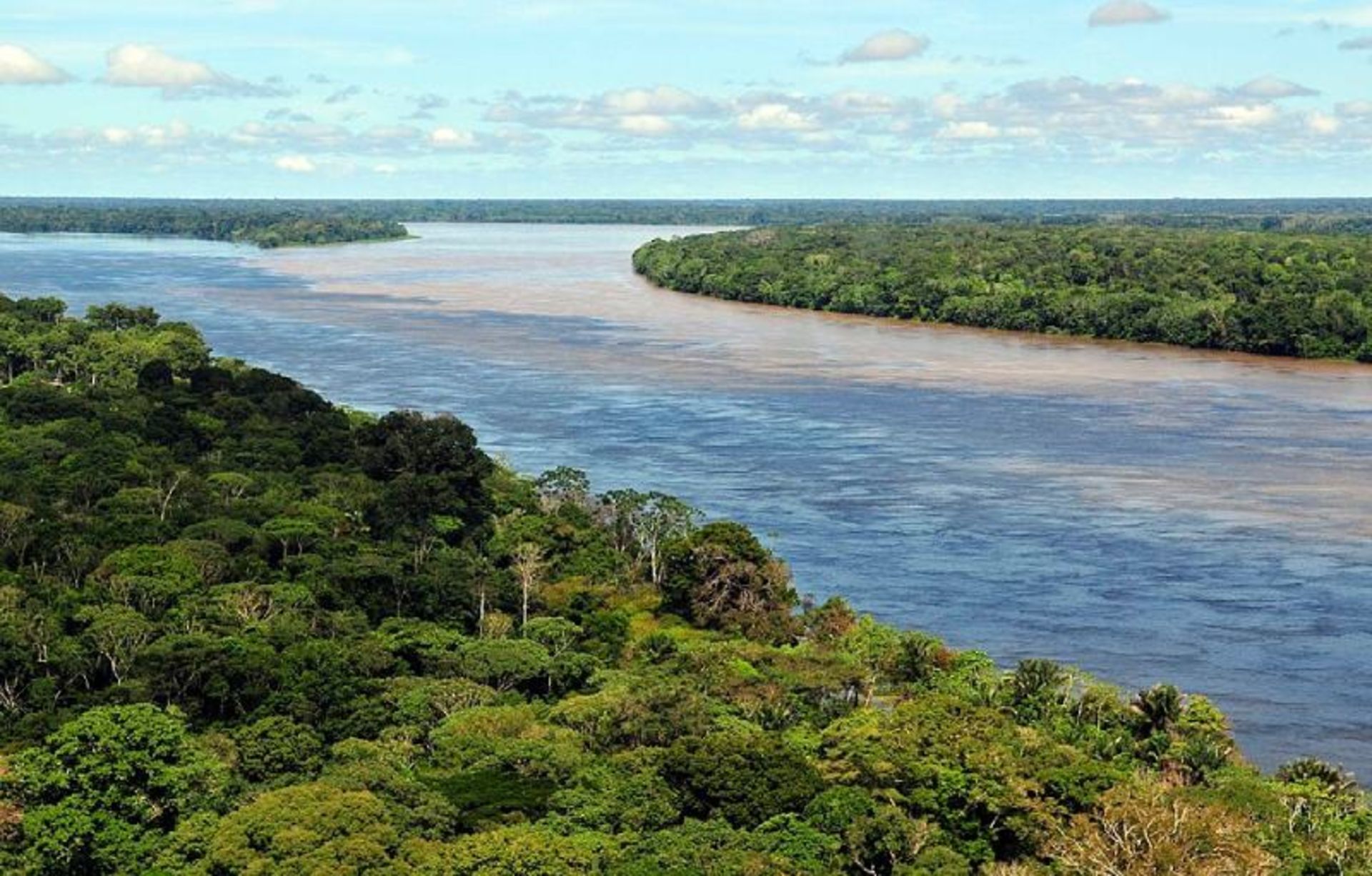 Brazilian Amazon Forest River 