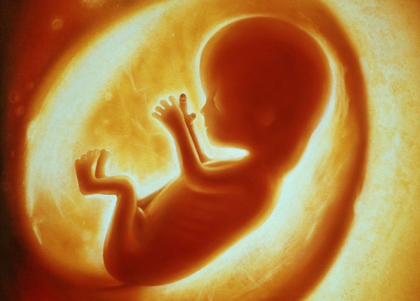 What vitamin affect the beauty of the fetus?