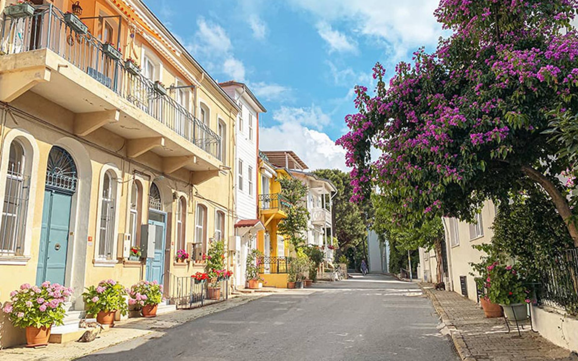 Modern buildings and trees of Burgaz Island