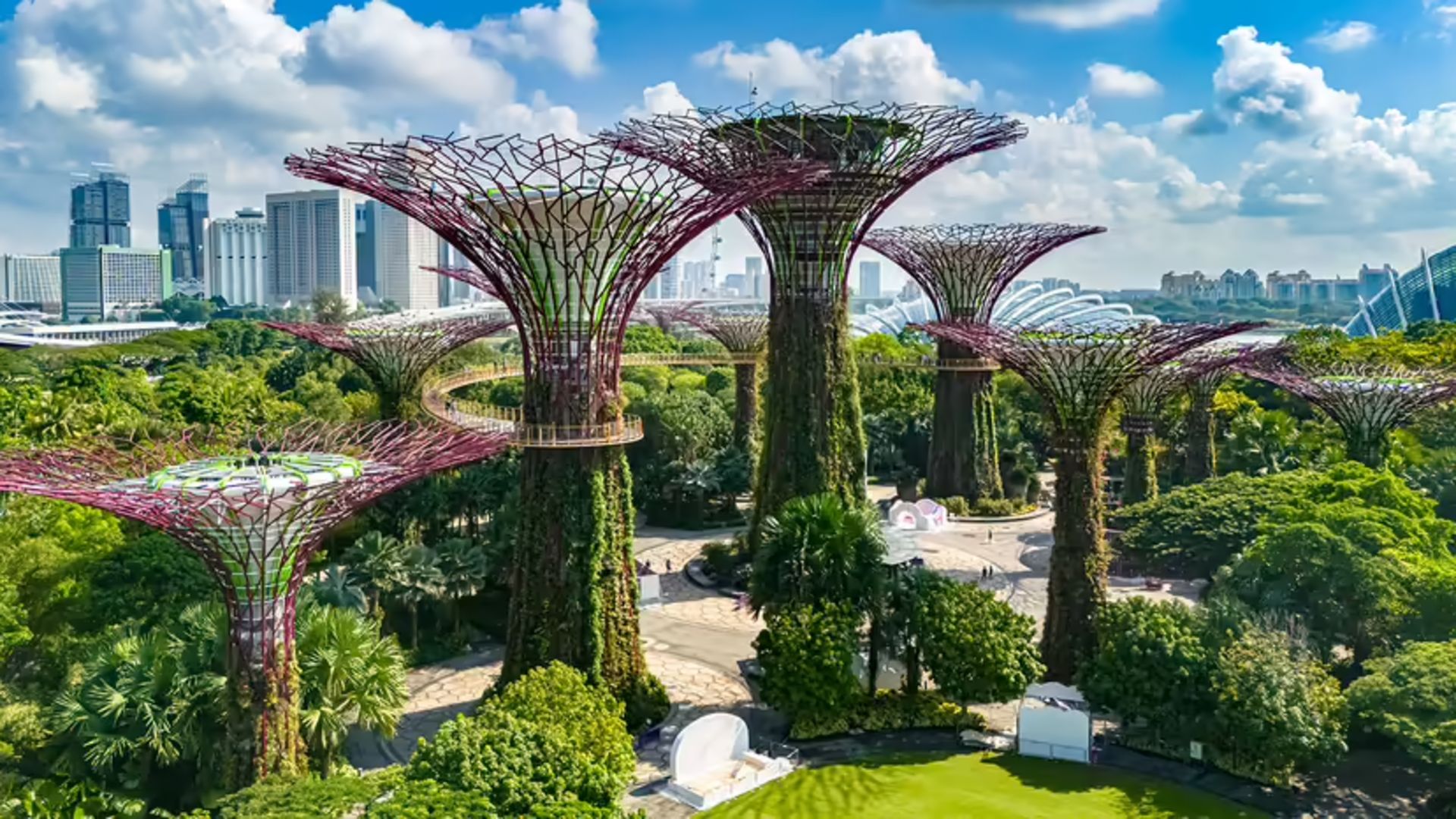 Suspended trees in the city of Singapore