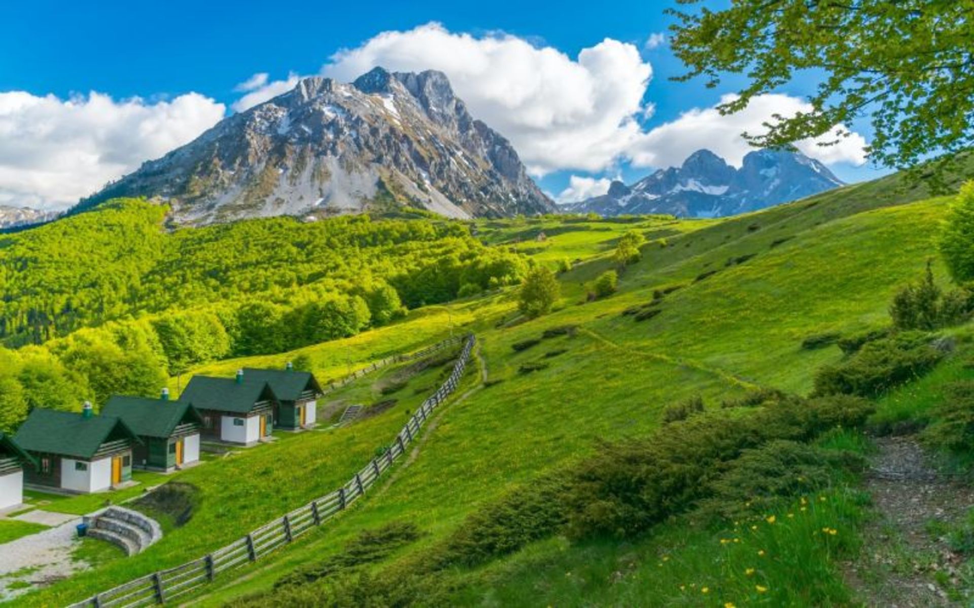 Lush atmosphere of the Alps Dinaric