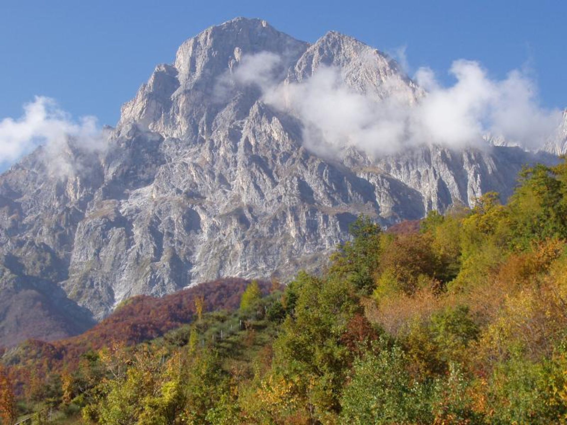 The lush forest in the Anenini Mountains 