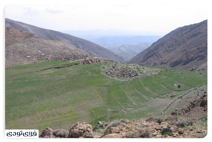 Where is the village of Afje?