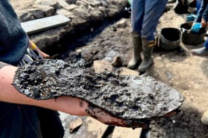 Discover Roman shoes in the UK