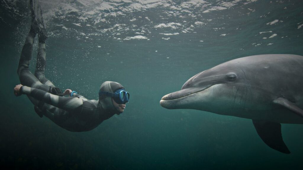 Talk to animals with the help of artificial intelligence