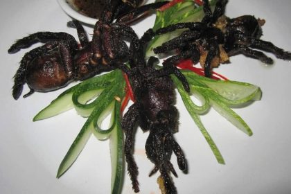 China's Strangest and Multiple Street Foods List 12 multitasking food in China