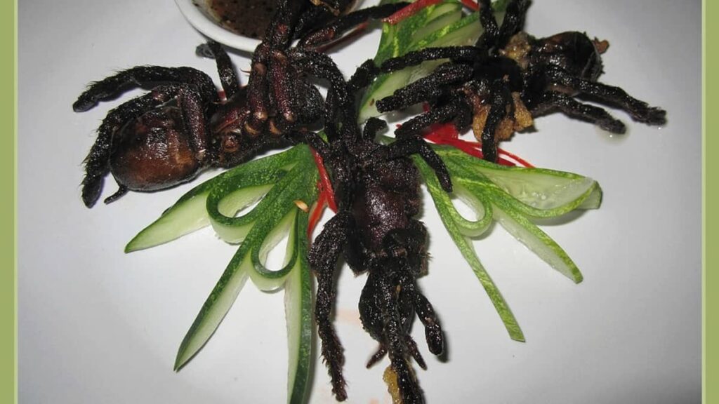 China's Strangest and Multiple Street Foods List 12 multitasking food in China