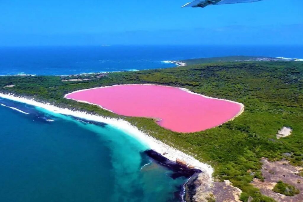 Everything about Lipar Wetland, Introduction to Chabahar's Attractive Lake Lake