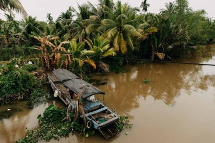 Familiar with Delta Mekong: Boating in the heart of Vietnam