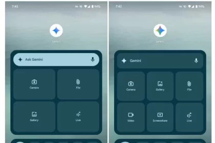 Unveiling of the new Jamina icon