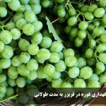 How to keep Ghor in the freezer for a long time