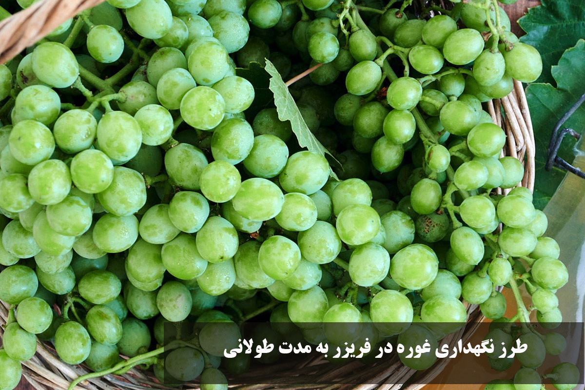 How to keep Ghor in the freezer for a long time