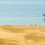 Introducing Chabahar Restaurants Delicious experience of seafood