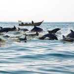 Introducing Qeshm's most exciting water entertainment that should not be missed