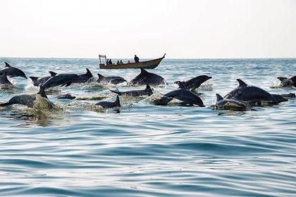 Introducing Qeshm's most exciting water entertainment that should not be missed