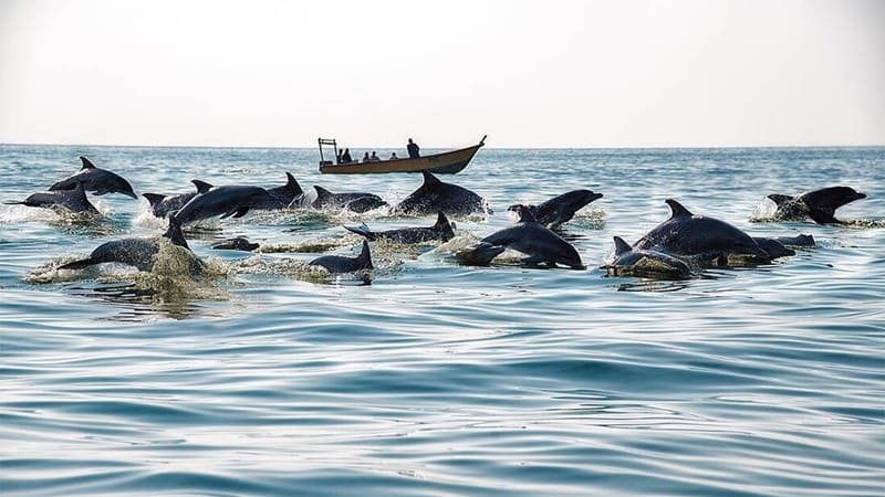 Introducing Qeshm's most exciting water entertainment that should not be missed