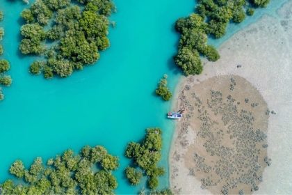 Mangratory Forest: Boating Experience in Qeshm Magic Nature