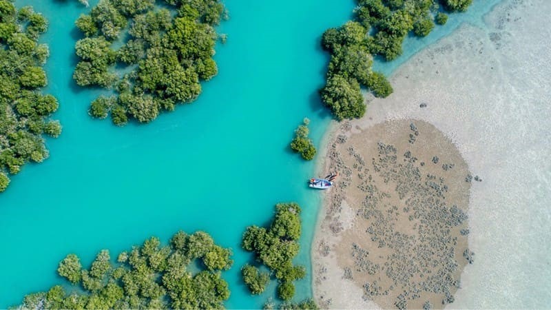 Mangratory Forest: Boating Experience in Qeshm Magic Nature