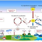 One -fifth year under UV razor; Ozone protects us but not always